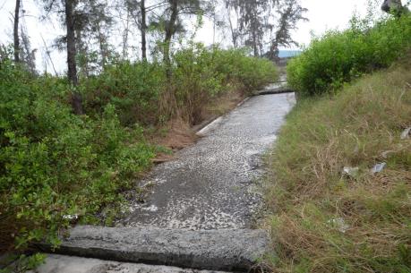 Khánh Hòa: Xử phạt Nhà máy đường vì gây ô nhiễm môi trường