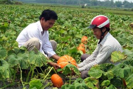 Tỷ lệ hợp tác xã tiếp cận được các chính sách ưu đãi chưa cao