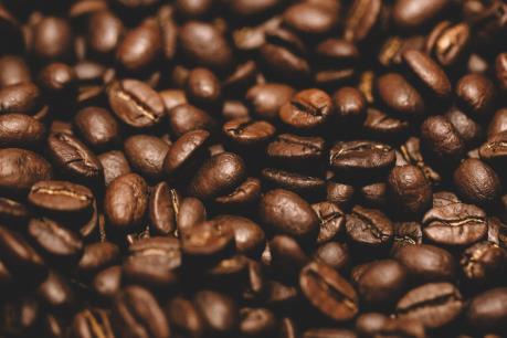 Dự báo giá cà phê tuần này