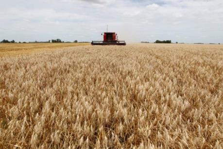 Ngành nông nghiệp Argentina: Đằng sau "phép màu" tăng trưởng