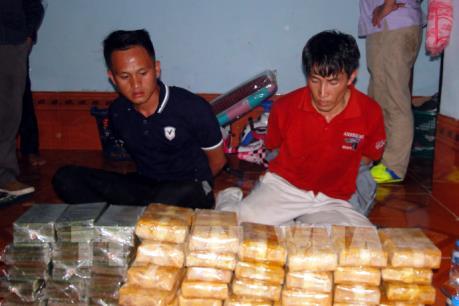 Lực lượng phòng chống ma túy Việt- Lào phối hợp phá chuyên án ma túy lớn