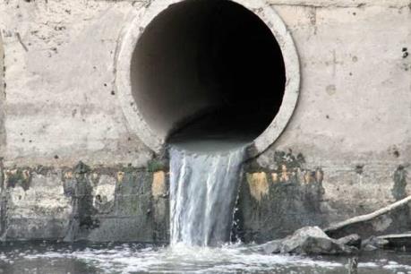 Công ty Phương Đông lại bị phạt hơn 300 triệu đồng vì xả thải gây ô nhiễm