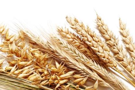 Điểm lại thị trường nông sản Mỹ tuần qua