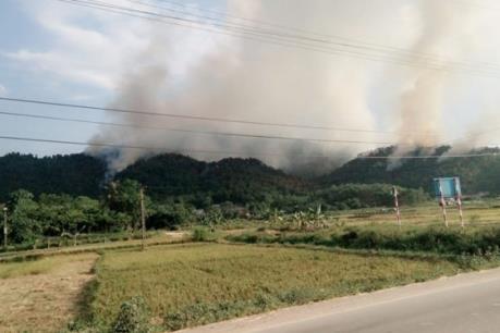 Nguyên nhân vụ cháy rừng phòng hộ Nam Sơn