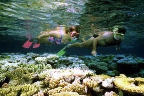 Rạn san hô Great Barrier đối mặt với nguy cơ mới