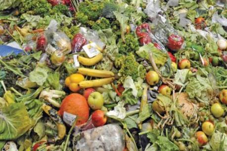 UNEP: 1/3 lượng thực phẩm trên thế giới đang bị lãng phí