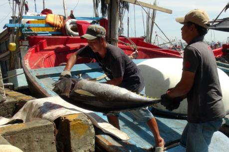 VASEP kiến nghị giải pháp thúc đẩy xuất khẩu cá ngừ