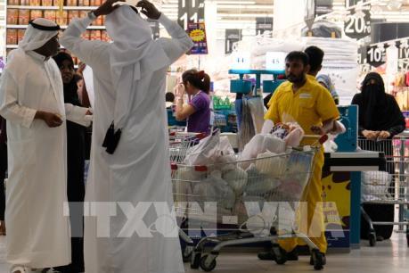 Căng thẳng ngoại giao Vùng Vịnh: Ai Cập đề nghị LHQ điều tra Qatar