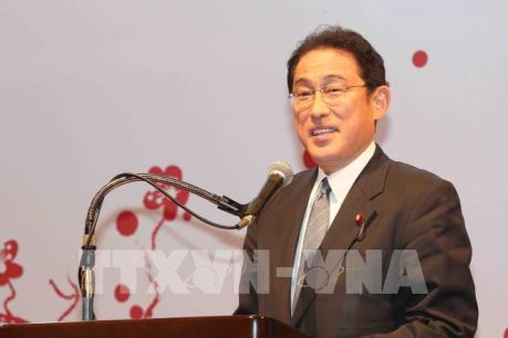 Cư dân Nhật Bản sống tại các đảo tranh chấp với Nga lần đầu về cố hương bằng đường không