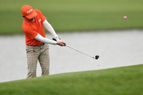 FLC Faros hoàn tất mua gần 25% vốn AMD