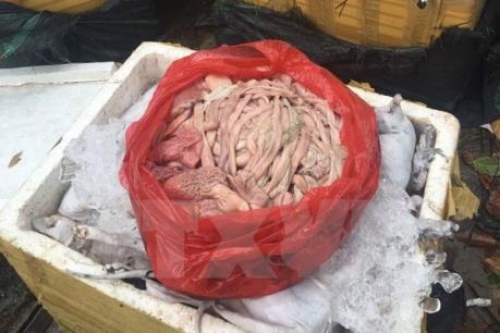 Bắt giữ xe vận chuyển 4,5 tấn nội tạng bốc mùi hôi thối