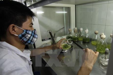 Ngăn chặn, hạn chế công nghệ, thiết bị lạc hậu chuyển giao vào Việt Nam