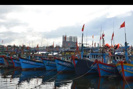 Nhanh chóng làm rõ nét vai trò của các cảng cá