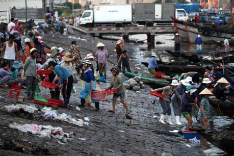 Đà Nẵng: Xử lý dứt điểm ô nhiễm môi trường khu vực âu thuyền Thọ Quang