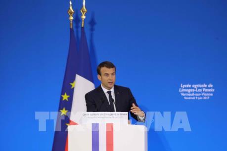 Bầu cử Hạ viện Pháp: Dự báo chiến thắng thuộc về đảng của Tổng thống Macron