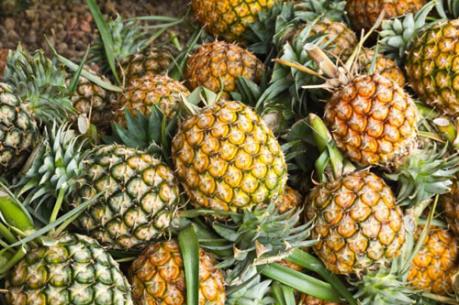 Giá dứa tăng mạnh