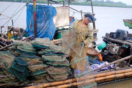 Tiêu hủy 15 bộ lồng bát quái khai thác thủy sản trái phép tại Móng Cái