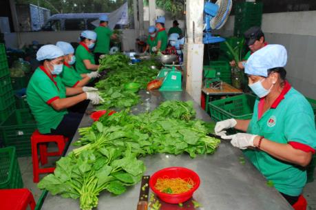 Đà Nẵng truy xuất nguồn gốc sản phẩm nông, lâm, thủy sản