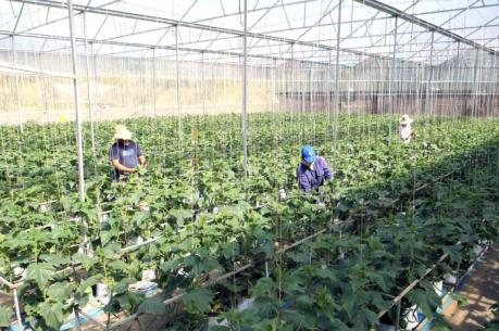 Mô hình hợp tác xã kiểu mới: Chung sức cùng thành công