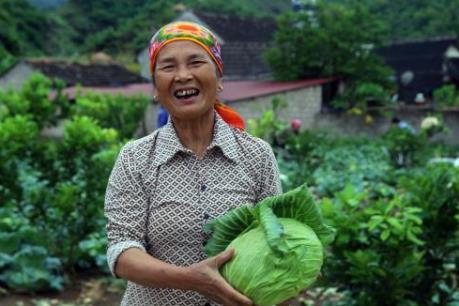Nữ tỷ phú rau sạch ở vùng cao