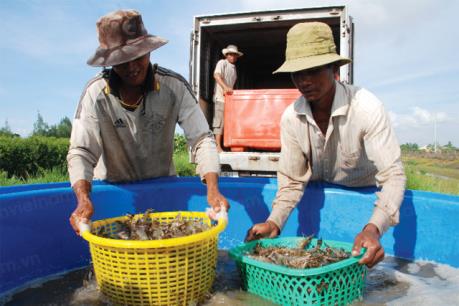 Nhiều mặt hàng thủy sản tăng giá mạnh