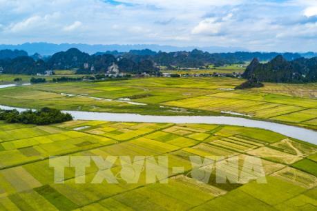 Tích tụ ruộng đất:- Đi tìm phương thức ưu việt - Bài 4: Đảm bảo quyền lợi nông dân