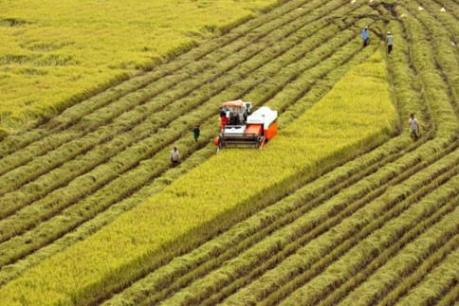 Tích tụ ruộng đất: Đi tìm phương thức ưu việt - Bài 2: Bứt phá từ tích tụ