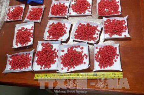 Phá thành công chuyên án về ma túy, thu giữ 10.000 viên ma túy tổng hợp