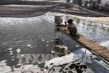 Bắc Giang nâng cao giá trị nuôi trồng thủy sản