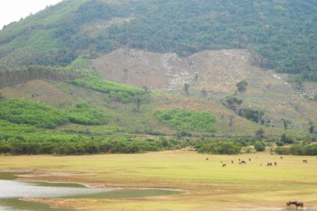 Tranh chấp đất lâm nghiệp ở Lộc Bình, Lạng Sơn