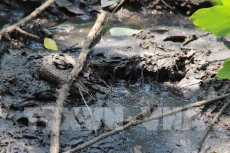 Đồng Nai không gia hạn di dời cơ sở gây ô nhiễm môi trường