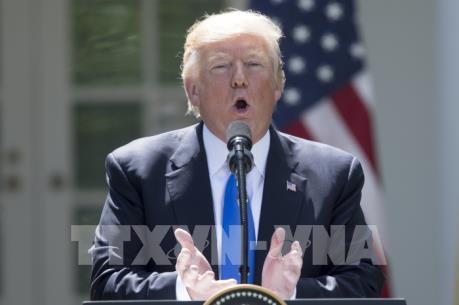 Truyền thông Mỹ đưa tin giả mạo về cuộc điều tra liên quan đến Nga?