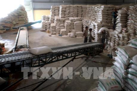 Xuất khẩu gạo: Doanh nghiệp nhỏ mong chờ được “cởi trói”