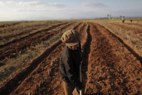 Thực chất vấn đề mất an ninh lương thực ở CHDCND Triều Tiên