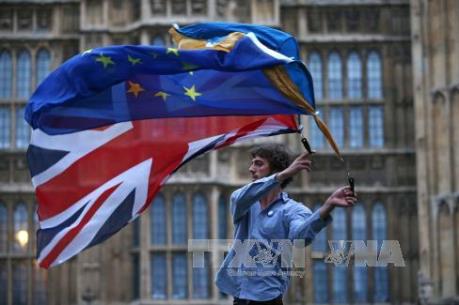 Thị trường nông nghiệp châu Âu có nguy cơ chao đảo vì Brexit 