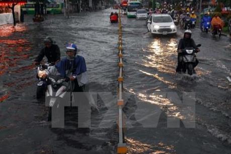 Thành phố Hồ Chí Minh: Mưa lớn gây ngập nhiều nơi