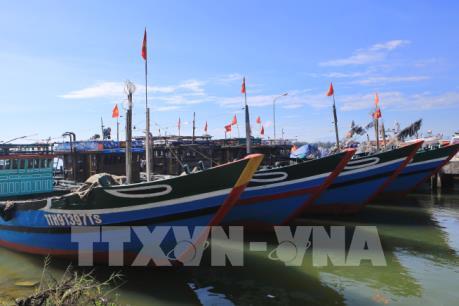 Ngư dân tham gia giám sát các khâu trong đóng tàu vỏ thép