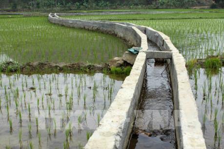 Đắk Lắk giám sát chặt chẽ chất lượng công trình kiên cố hóa kênh mương