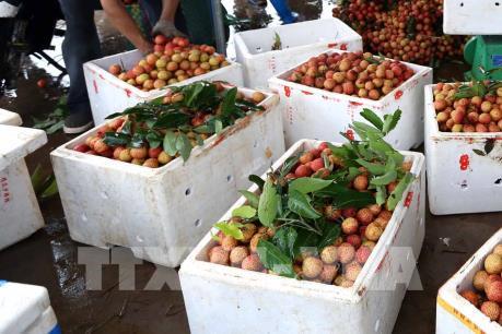 Hải Dương mời gọi doanh nghiệp đầu tư vào nông nghiệp
