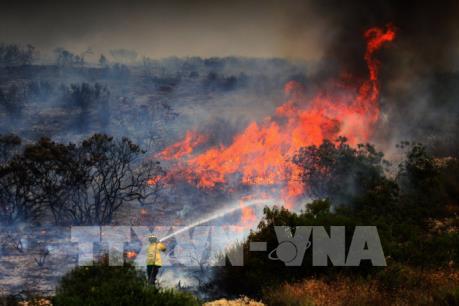 Cháy rừng ở Bồ Đào Nha: Thương vong lên tới hơn 100 người