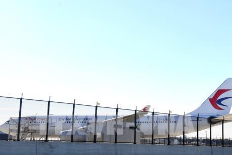 Máy bay rơi vào vùng nhiễu động, hàng chục người bị thương