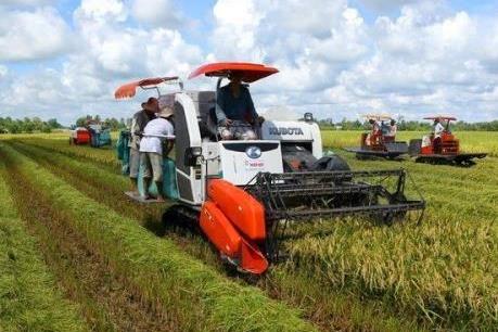 Nông nghiệp Cần Thơ tăng tốc để bù tăng trưởng âm