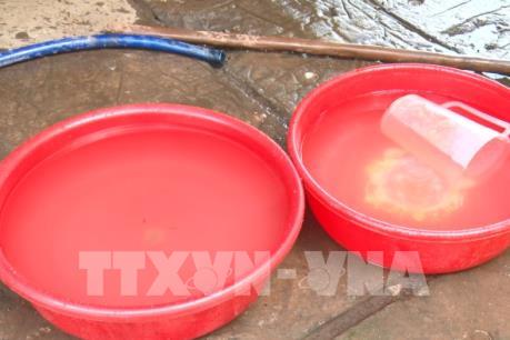 Ô nhiễm nước khu vực nhà máy sản xuất tinh bột sắn