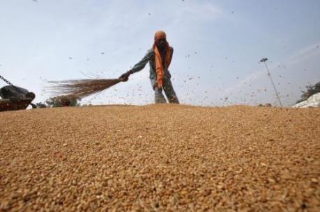 Giá lương thực tại Sudan tăng gần 200% trong năm qua