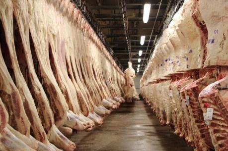 Tập đoàn JBS lên kế hoạch bán tài sản sau bê bối