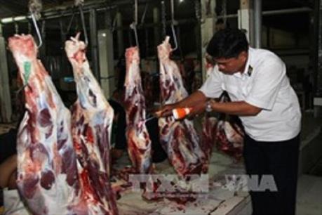 Bến Tre tăng cường quản lý giết mổ lợn tự phát