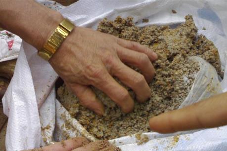 Công bố các cơ sở kinh doanh phân bón kém chất lượng