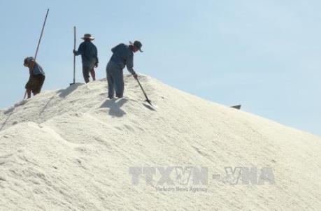 Giá muối ở Khánh Hòa tăng cao nhất trong nhiều năm qua