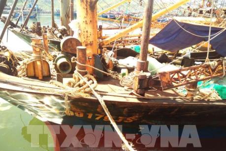 Bình Thuận thực hiện hiệu quả Nghị định 67