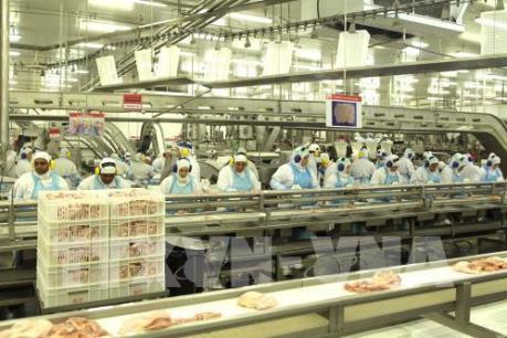 Mỹ ngừng nhập khẩu thịt bò Brazil